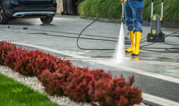 Best Roof Pressure Washing  in Flora Vista, NM