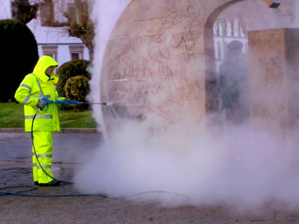 Best Concrete Pressure Washing  in Flora Vista, NM